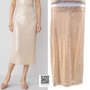 Large - NWT - Ann Taylor Studio Collection - Champagne Sequin Column Midi Skirt